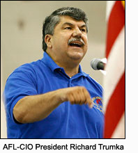 trumka-flag