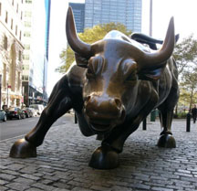 wall-st-bull