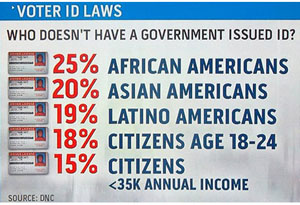 voter-id-stats