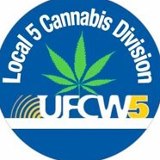 UFCW-cannabis-division