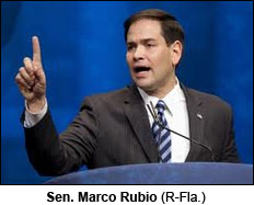 rubio-marco