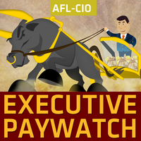 13-CEO-PayWatch-logo
