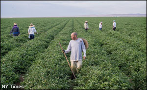 nyt-calif-farmworkers