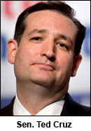 cruz-ted