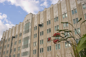 Exterior view with flowers in foreground of Harborview Medical Center in Seattle, WA.