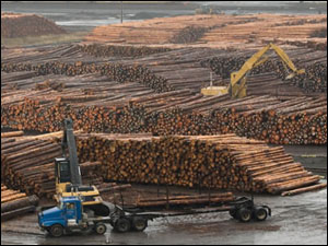 lumber-mill