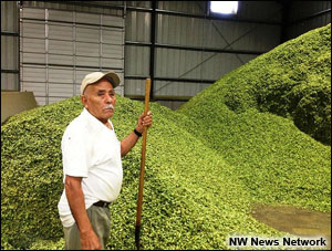 nwnn-farmworker-hops