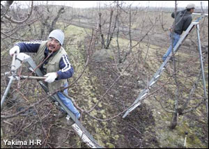 YHR-farmworkers-rest-case