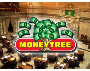 senate-moneytree