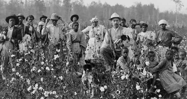 slavery-plantation