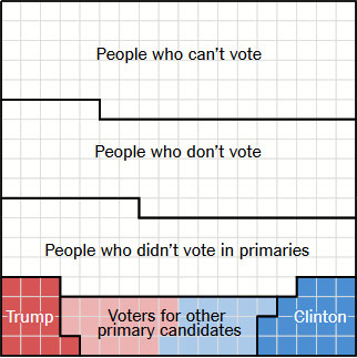 NYT-who-voted-16-primaries