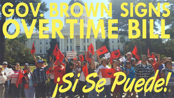 ufw-brown-signs-ot-bill