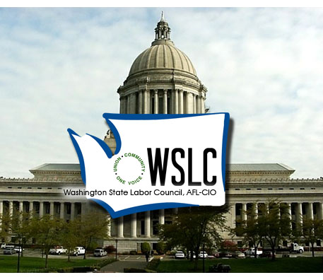 WSLC is seeking applicants for 2021 Legislative Intern
