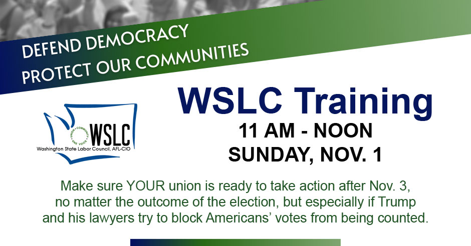 Register for WSLC’s ‘Defend Democracy’ training on Sunday