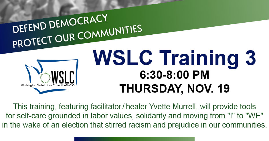 Defend Democracy: WSLC training Nov. 19 on post-election self-care