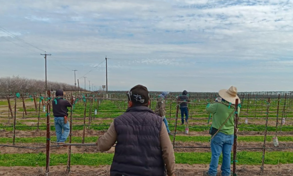 Farm workers sue Trump administration