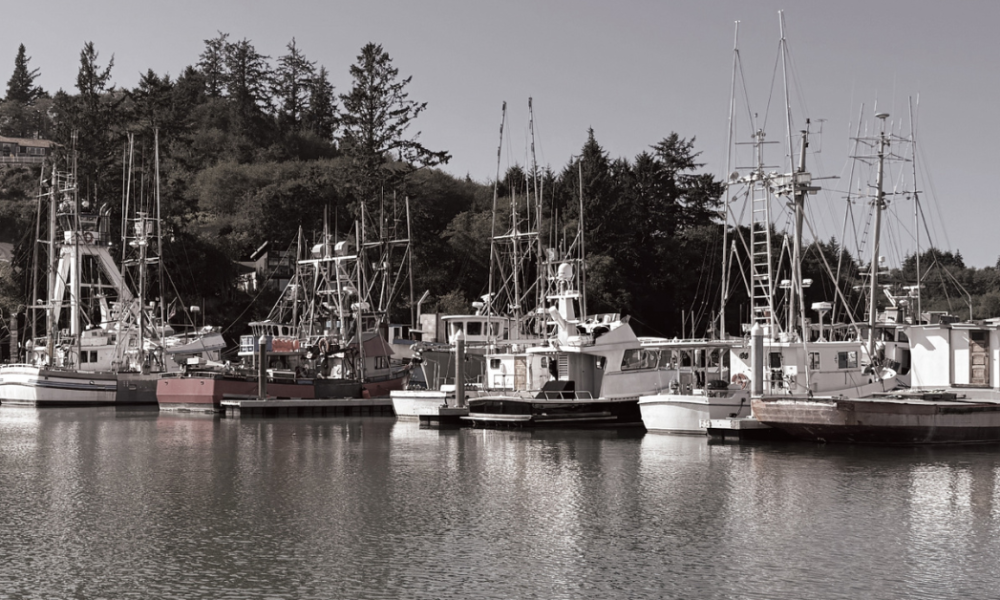 Migrant fishers’ “Rights on the Line”
