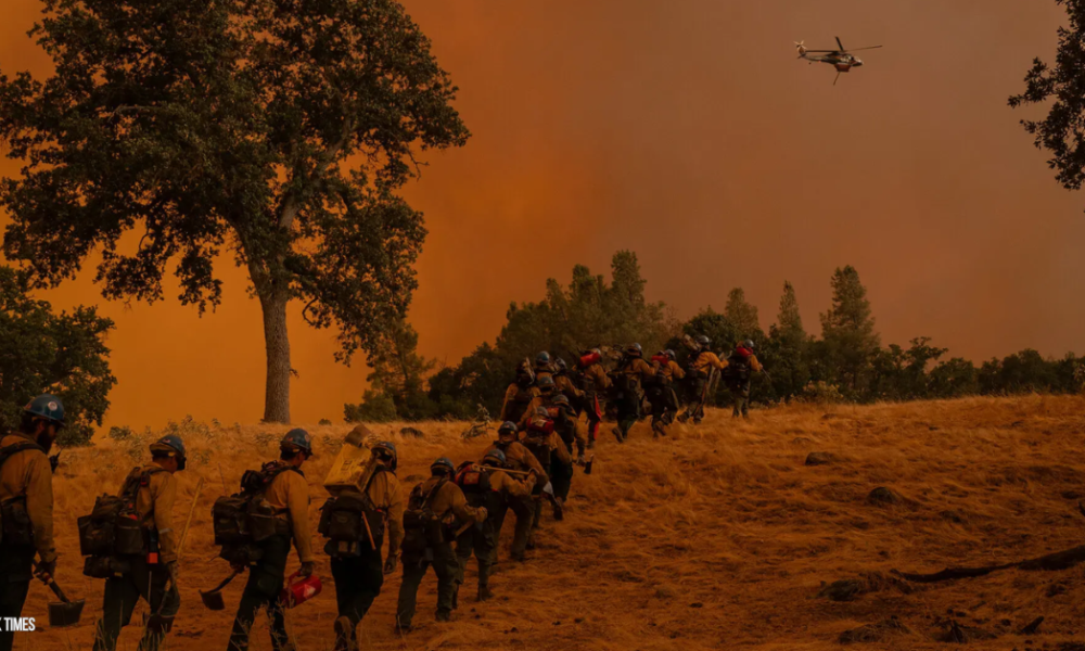 Sarah Shaw released | Wildfire fighters | Air Canada strike